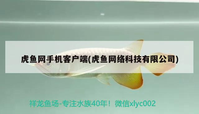 虎魚網手機客戶端(虎魚網絡科技有限公司)