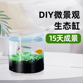 不用打理的魚缸有哪些：不用打理的魚缸有多種選擇