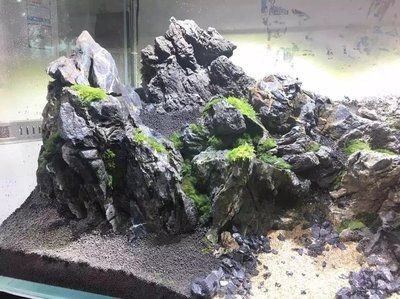 大魚缸石頭造景群游：大魚缸石頭造景的種類和特點(diǎn)
