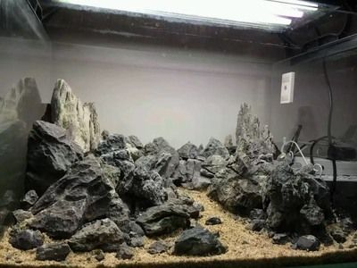 大魚缸石頭造景群游：大魚缸石頭造景的種類和特點(diǎn)