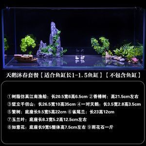 大魚缸適合造景嗎：魚缸造景的發展歷程魚缸造景的發展歷程魚缸造景技巧