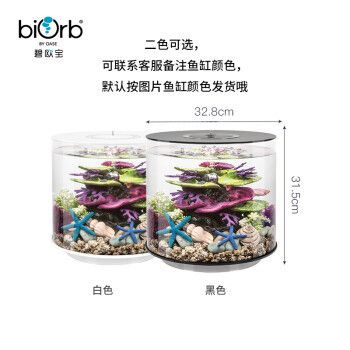 碧歐寶生態小魚缸怎么樣啊：碧歐寶生態小魚缸怎么樣？