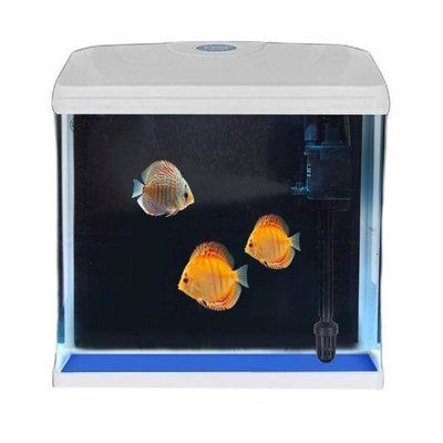 超白魚缸和高清浮法玻璃：如何辨別真假超白魚缸