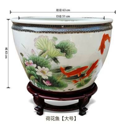 大號陶瓷魚缸養魚：大號陶瓷魚缸養魚需要注意什么