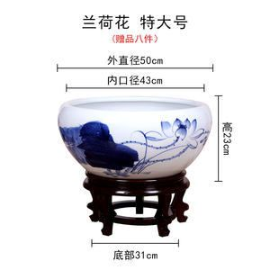 大號陶瓷魚缸養魚：大號陶瓷魚缸養魚需要注意什么