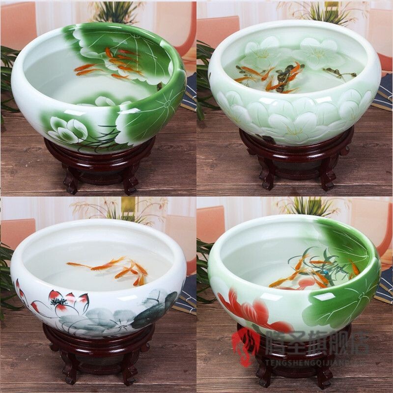 大號陶瓷魚缸養魚：大號陶瓷魚缸養魚需要注意什么