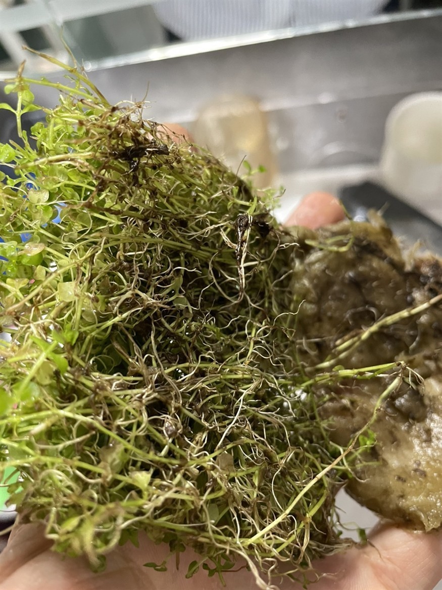 soye魚缸官網(wǎng)：soye/索一品牌的魚缸品牌soye/索一品牌