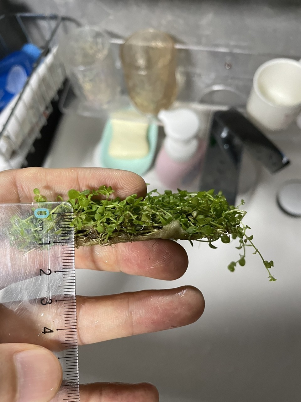 soye魚缸官網(wǎng)：soye/索一品牌的魚缸品牌soye/索一品牌
