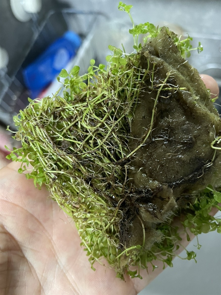 soye魚缸官網(wǎng)：soye/索一品牌的魚缸品牌soye/索一品牌