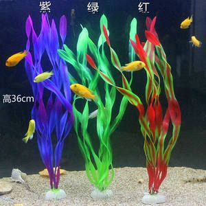 北美風魚缸造景效果圖：北美風格的魚缸造景強調模擬加拿大北部針葉林景觀