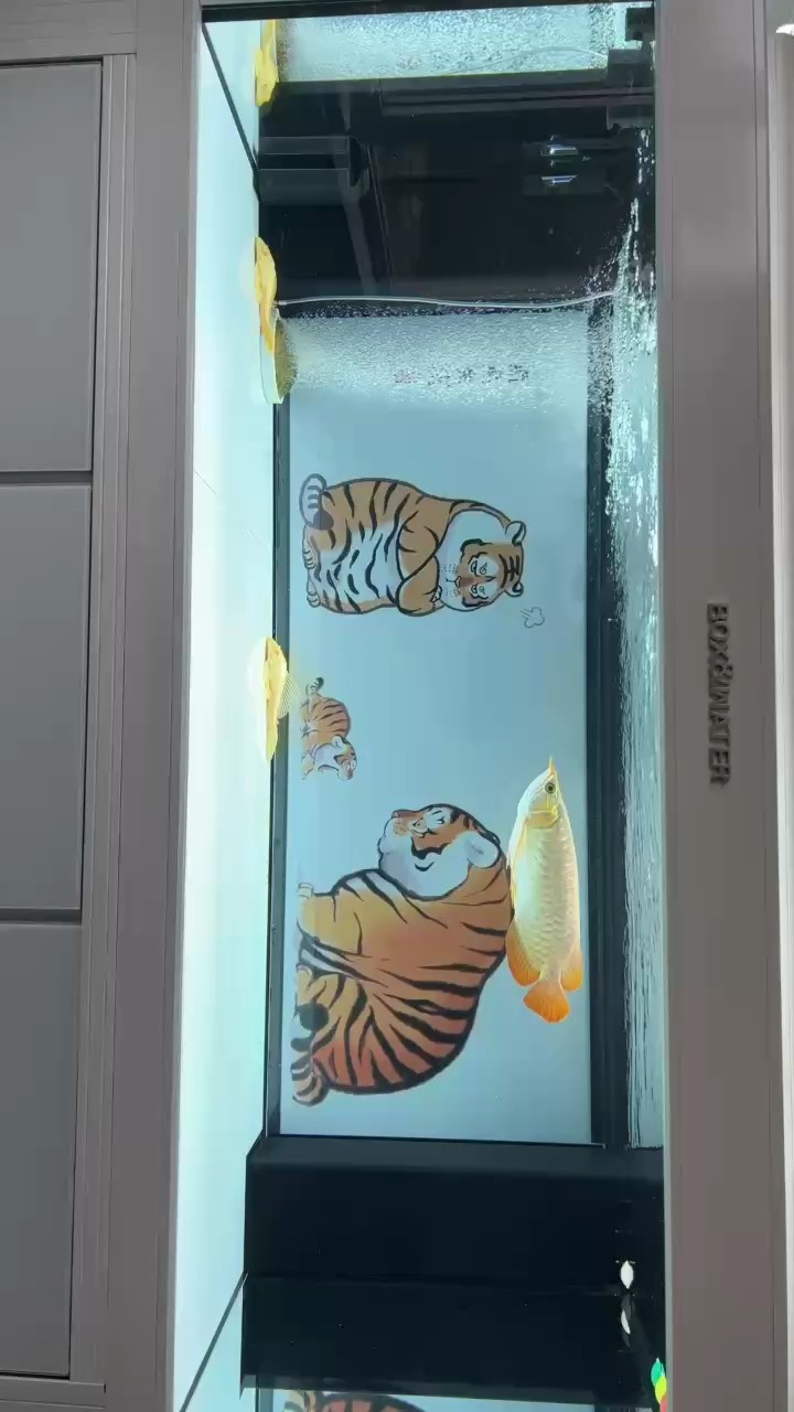 咋能翻轉(zhuǎn)過來