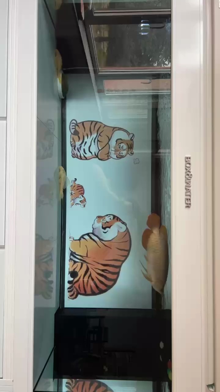 這樣
