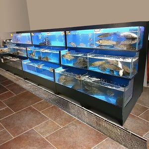 寶鉆魚缸怎么那么貴：為什么寶鉆魚缸的價格較高？