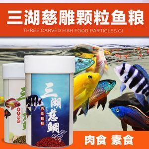 虎魚吃魚糧嗎會死嗎：虎魚吃魚糧會死嗎