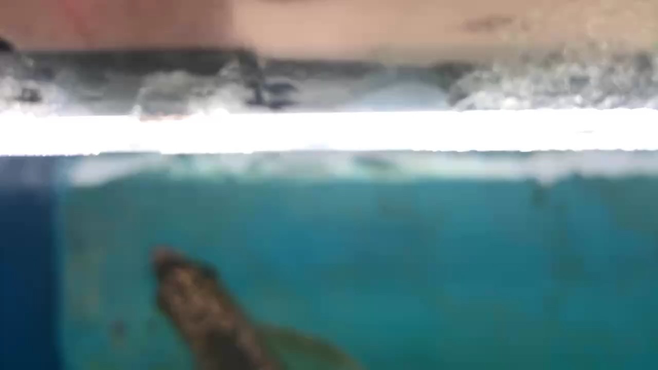 秋風起……
