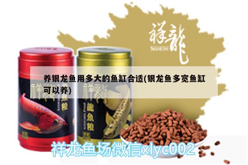 養(yǎng)銀龍魚用多大的魚缸合適(銀龍魚多寬魚缸可以養(yǎng)) 養(yǎng)銀龍魚用多大的魚缸合適(銀龍魚多寬魚缸可以養(yǎng)) 銀龍魚百科