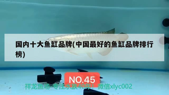 冬天鯽魚釣深還是釣淺喜歡吃什么餌料