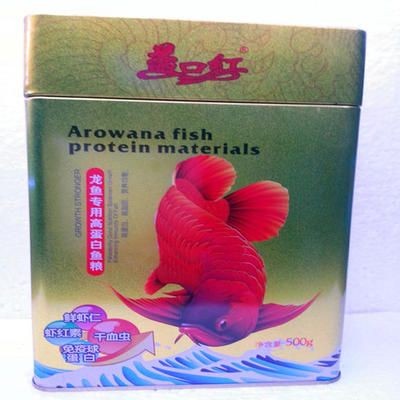紅龍魚配什么魚最好：紅龍魚與紅龍魚混養的最佳搭配，紅龍魚混養注意事項