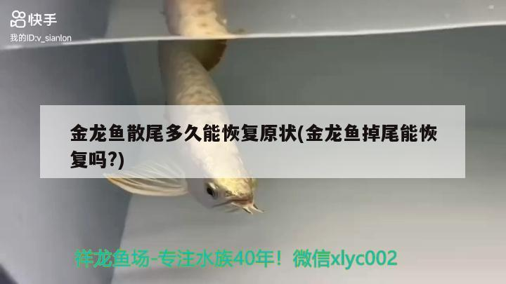 虎魚(yú)內(nèi)蒙跪求各大神出出主意