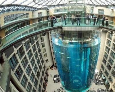 玻璃做魚缸最大：玻璃魚缸大小 玻璃做魚缸最大：玻璃魚缸大小 魚缸百科 第1張