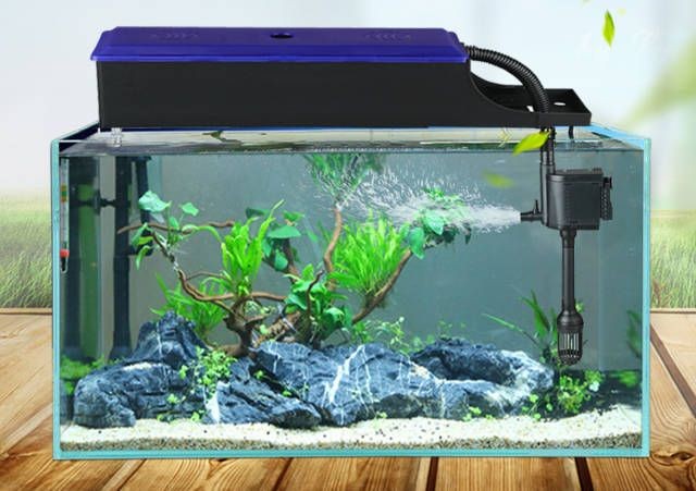 大魚缸安裝過濾器一套多少錢：大魚缸安裝過濾器價格范圍