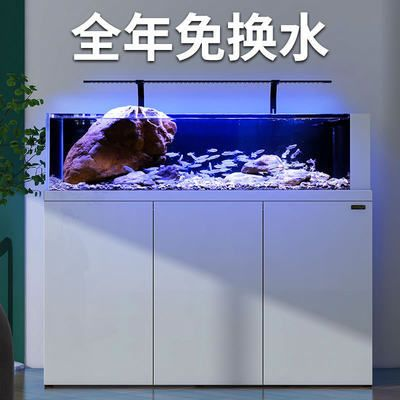 森森和新漢江哪個好：森森和新漢江哪個更好 森森和新漢江哪個好：森森和新漢江哪個更好 森森魚缸