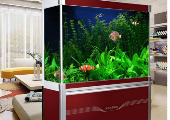 海寧市海洲街道深藍水族店（海寧市海洲街道深藍水族店電話）