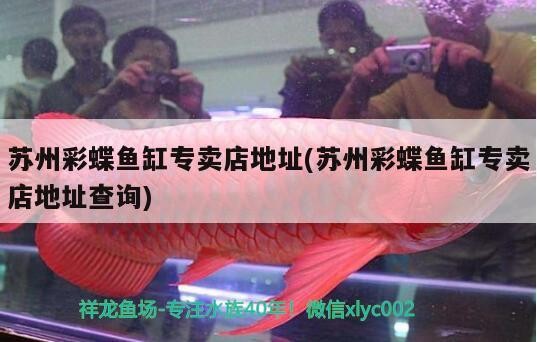 蘇州彩蝶魚缸專賣店地址(蘇州彩蝶魚缸專賣店地址查詢)