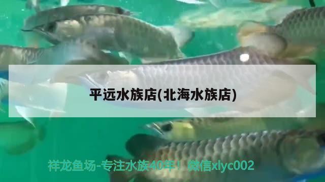 平遠水族店(北海水族店)