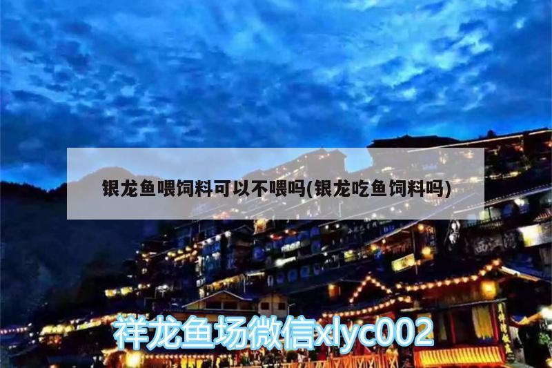 銀龍魚喂飼料可以不喂嗎(銀龍吃魚飼料嗎) 銀龍魚喂飼料可以不喂嗎(銀龍吃魚飼料嗎) 銀龍魚百科