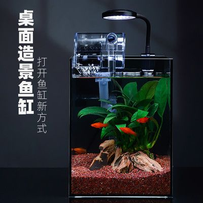 斗魚缸造景好還是不造景好：斗魚缸造景和不造景各有利弊，