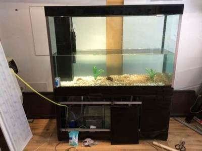 大型魚缸用什么消毒好：高溫暴曬、高錳酸鉀溶液是一種常用的消毒劑可以提高消毒效果