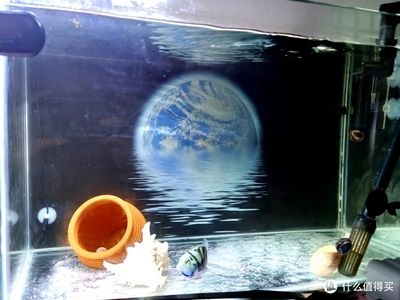 超白金晶玻璃魚缸折射原理：超白玻璃魚缸的折射原理