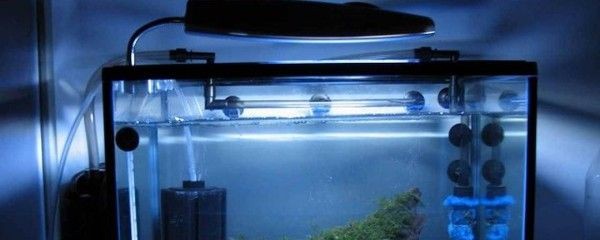 大魚缸制作視頻教學：大魚缸制作視頻教程視頻教程和技巧分享視頻教程分享