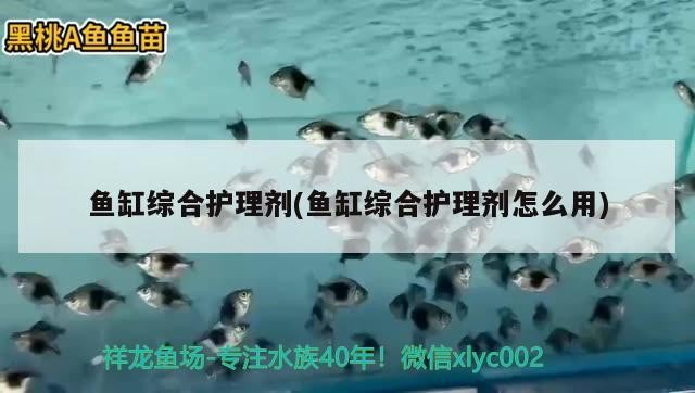 金頭虎魚怎么能養(yǎng)出好狀態(tài)(金頭虎魚的養(yǎng)殖方法是什么)