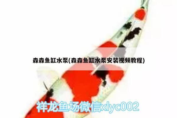 大慶市薩爾圖區(qū)魚躍水族館（大慶市薩爾圖區(qū)魚躍水族館電話）