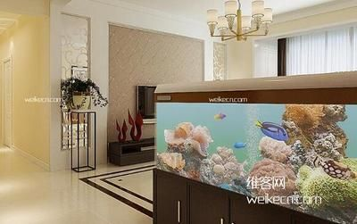 不用的魚缸怎么處理最佳風(fēng)水?dāng)[放：不用的魚缸可以根據(jù)以下幾個方面來進行風(fēng)水處理