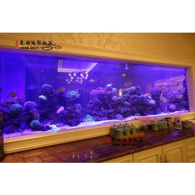 大型定制魚(yú)缸價(jià)格：大型定制魚(yú)缸價(jià)格因地區(qū)、材質(zhì)、尺寸、設(shè)計(jì)復(fù)雜度等因素而異