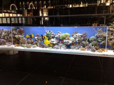 大型定制魚缸價格：大型定制魚缸價格因地區、材質、尺寸、設計復雜度等因素而異