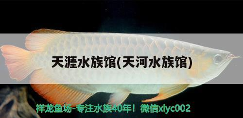 天涯水族館(天河水族館)