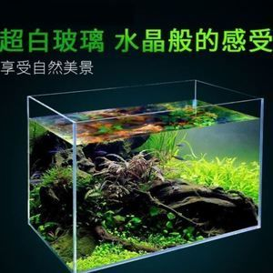 1.5米乘0.6米乘0.8米的魚缸是多少升水:1.5米乘0.6米乘0.6米乘0.8米的魚缸是多少升水 魚缸百科 第1張 1.5米乘0.6米乘0.8米的魚缸是多少升水:1.5米乘0.6米乘0.6米乘0.8米的魚缸是多少升水 1.5米乘0.6米乘0.8米的魚缸是多少升水:1.5米乘0.6米乘0.6米乘0.8米的魚缸是多少升水 魚缸百科 第1張