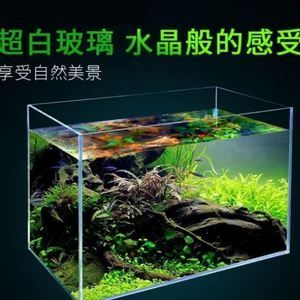 1.5米乘0.6米乘0.8米的魚缸是多少升水：1.5米乘0.6米乘0.6米乘0.8米的魚缸是多少升水 1.5米乘0.6米乘0.8米的魚缸是多少升水：1.5米乘0.6米乘0.6米乘0.8米的魚缸是多少升水 魚缸百科 第3張