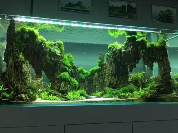 森森HNE-380桌面小魚缸（森森he一480桌面小魚缸）