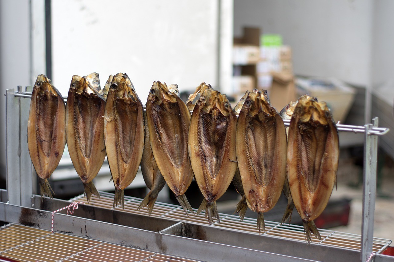 中國四大名貴魚類（中國四大名魚哪幾種）