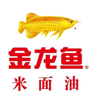 紅龍魚掛畫有什么講究沒 紅龍魚掛畫有什么講究沒 龍魚百科 第1張