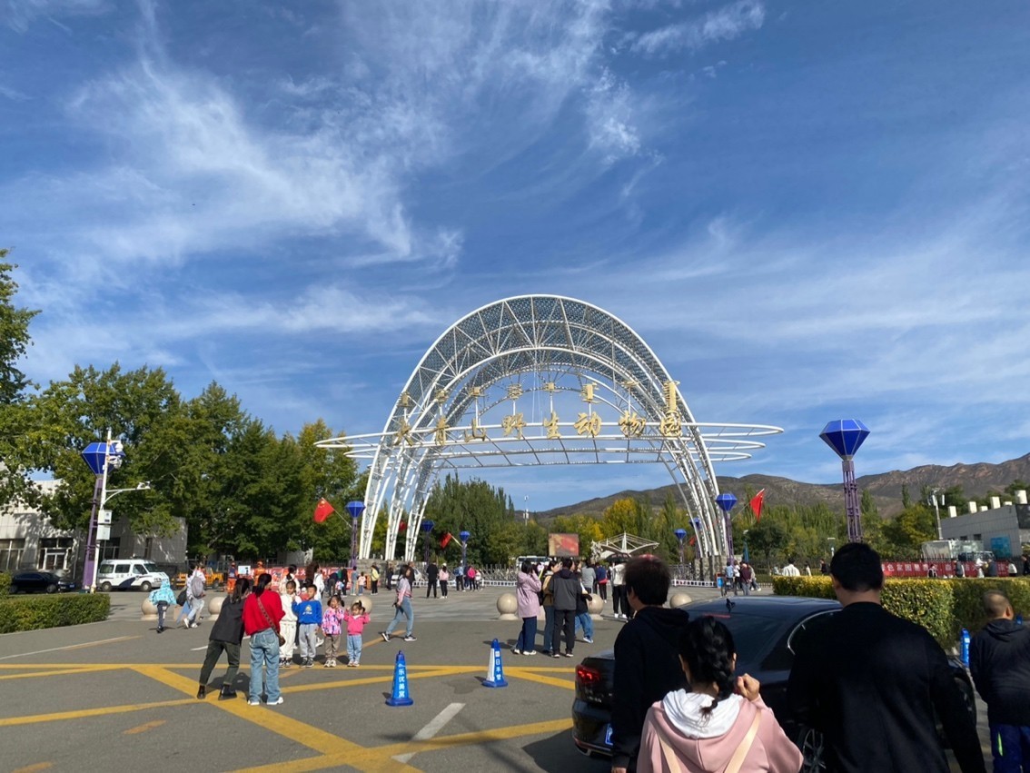 游玩動物園