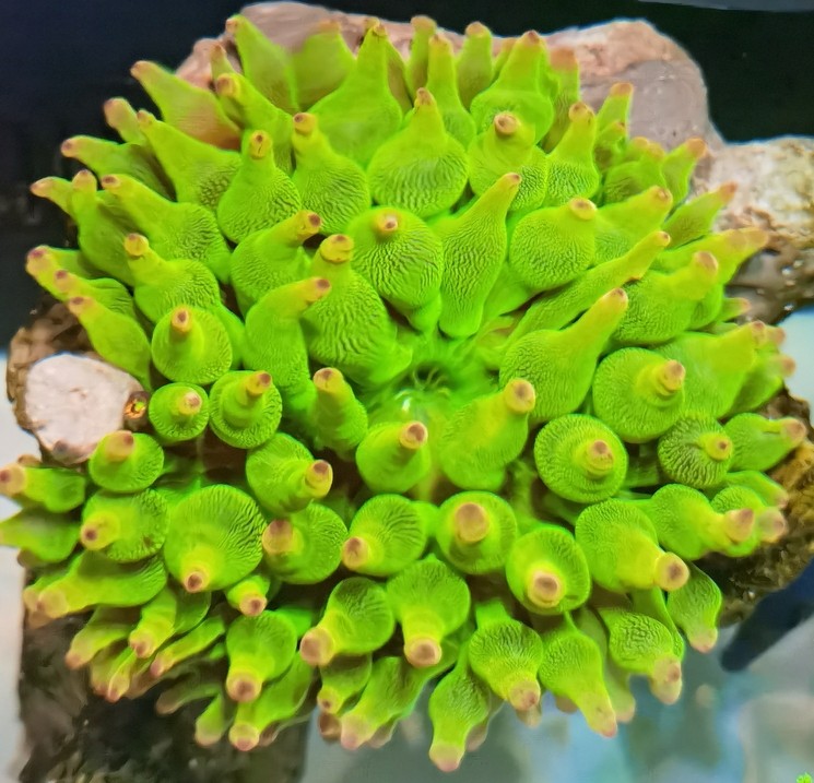 好狀態(tài)