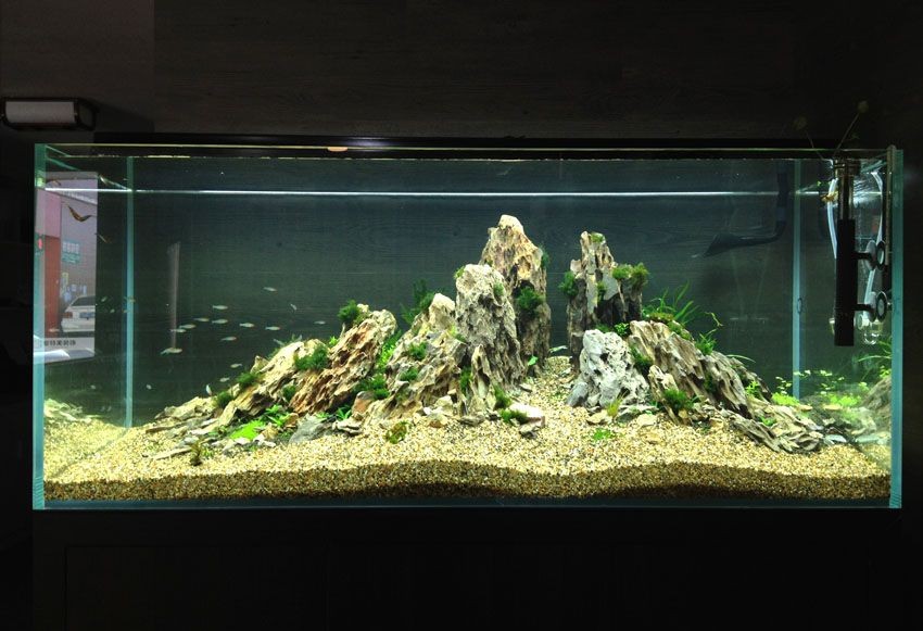 大型魚缸造景簡單方法：大型魚缸造景可以通過以下幾個步驟進行：選擇閩江玻璃魚缸