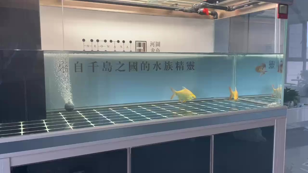 張國哥河圖