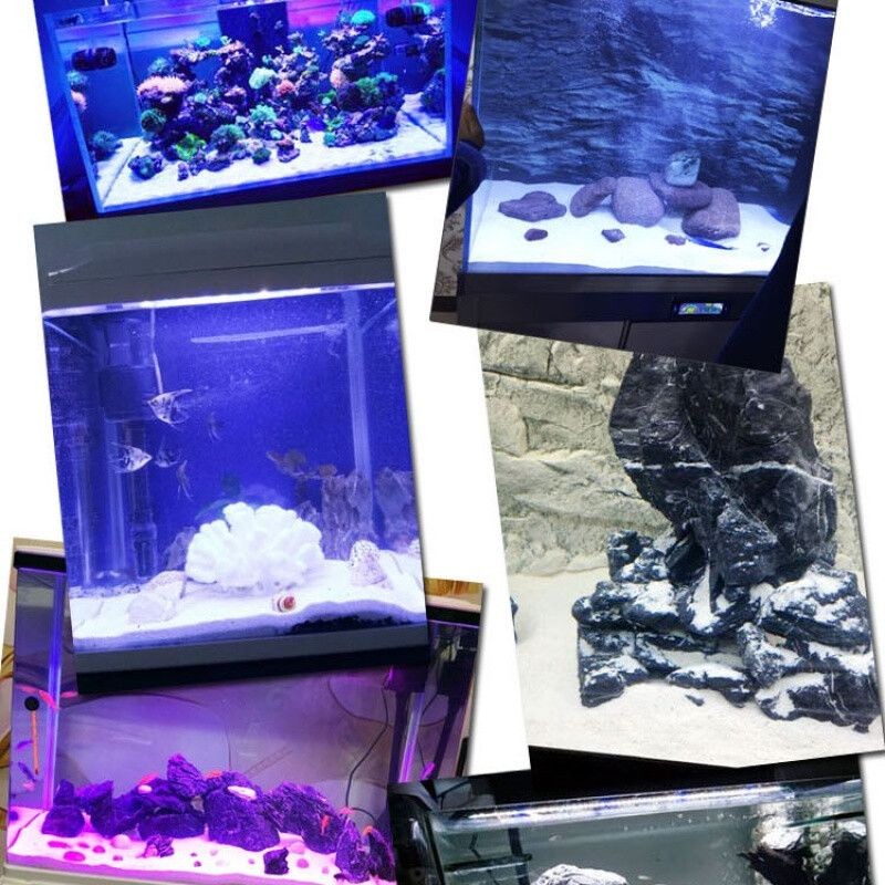 扁平魚缸造景效果圖：制作扁平魚缸造景效果圖的一些基本步驟和要點